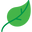 Leafy- Flüssiges Chlorophyll logo